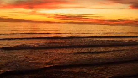 Terramar Point Surf Live Webcam - Mar 13, 2026, 7:13pm PDT