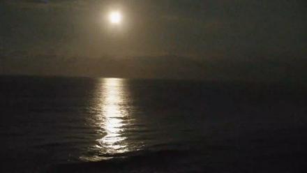 Terramar Point Surf Live Webcam - Dec 3, 2025, 4:32am PST