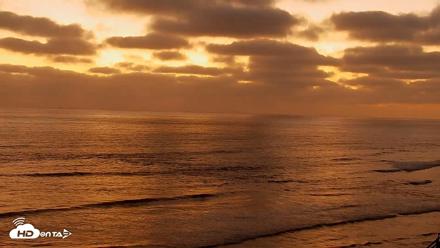 Terramar Point Surf Live Webcam - Aug 3, 2026, 8:11pm PDT