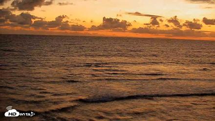 Terramar Point Surf Live Webcam - May 5, 2026, 7:55pm PDT