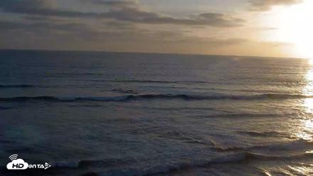 Terramar Point Surf Live Webcam - Jun 8, 2026, 7:33pm PDT