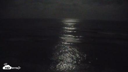 Terramar Point Surf Live Webcam - Jul 23, 2026, 10:56pm PDT