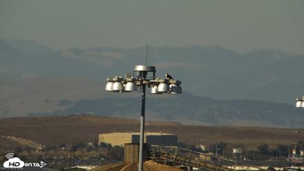 Golden Gate Ospreys Live Crane Cam - Oct 6, 2026, 3:17pm PDT
