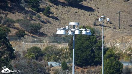 Golden Gate Ospreys Live Crane Cam - Oct 16, 2026, 1:11pm PDT