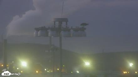 Golden Gate Ospreys Live Crane Cam - Jun 19, 2026, 8:58pm PDT