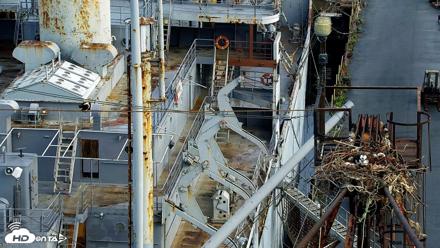 Golden Gate Ospreys Live Crane Cam - Apr 22, 2026, 7:55am PDT