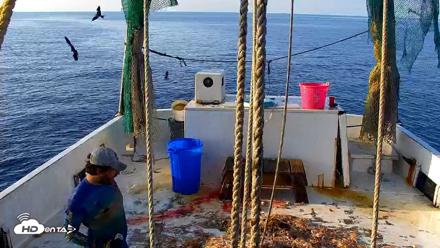 Miss Key West Shrimp Boat Live Cam - Apr 26, 2026, 7:59am EDT
