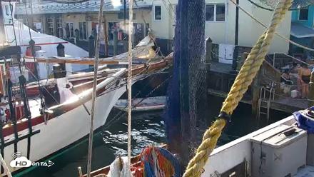 Miss Key West Shrimp Boat Live Cam - May 10, 2026, 8:27am EDT