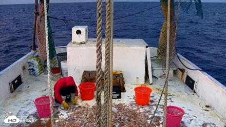 Miss Key West Shrimp Boat Live Cam - Apr 17, 2026, 7:13am EDT