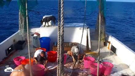 Miss Key West Shrimp Boat Live Cam - Apr 25, 2026, 8:26am EDT