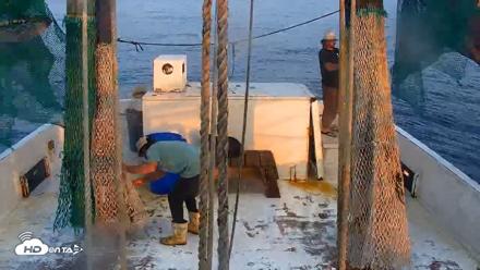 Miss Key West Shrimp Boat Live Cam - Apr 25, 2026, 7:37pm EDT