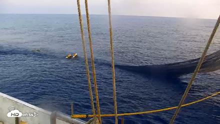 Miss Key West Shrimp Boat Live Cam - Apr 25, 2026, 7:41pm EDT