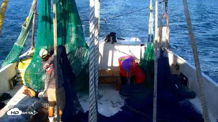 Miss Key West Shrimp Boat Live Cam - Jun 28, 2026, 8:10am EDT