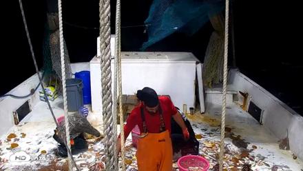 Miss Key West Shrimp Boat Live Cam - Apr 20, 2026, 2:07am EDT