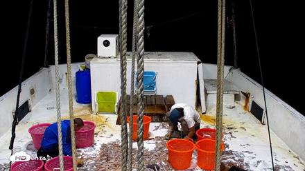 Miss Key West Shrimp Boat Live Cam - Apr 27, 2026, 3:08am EDT