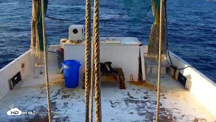 Miss Key West Shrimp Boat Live Cam - Apr 28, 2026, 7:27pm EDT