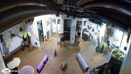 Cat Cafe San Diego Live Webcam - Sep 9, 2026, 4:44pm PDT