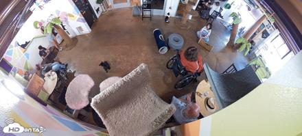 Cat Cafe San Diego Live Webcam - Jun 17, 2026, 3:23pm PDT