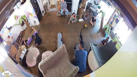 Cat Cafe San Diego Live Webcam - Aug 20, 2026, 11:40am PDT