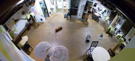 Cat Cafe San Diego Live Webcam - Dec 24, 2025, 12:15am PST