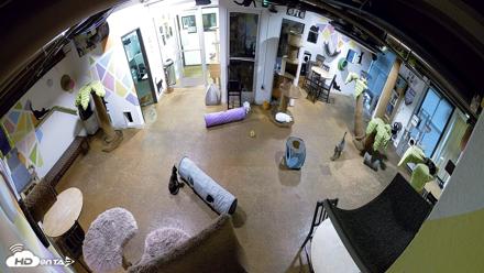 Cat Cafe San Diego Live Webcam - Aug 14, 2026, 6:55am PDT