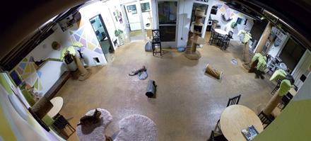 Cat Cafe San Diego Live Webcam - Dec 3, 2025, 7:38pm PST