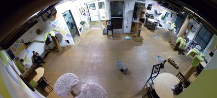 Cat Cafe San Diego Live Webcam - Nov 27, 2025, 4:50pm PST