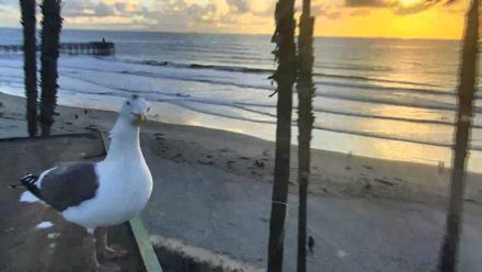 Pacific Beach Live Surf Webcam - Dec 27, 2025, 4:26pm PST