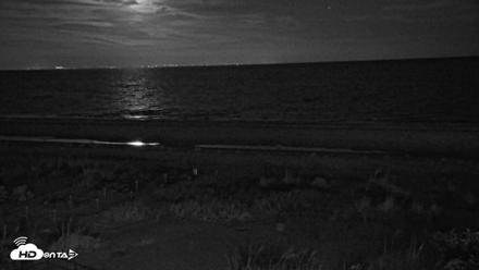 Oceans Reach Sanibel Island Live Cam - May 6, 2026, 12:34am EDT