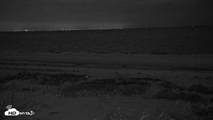 Oceans Reach Sanibel Island Live Cam - Jun 5, 2026, 4:45am EDT