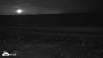 Oceans Reach Sanibel Island Live Cam - May 6, 2026, 12:02am EDT