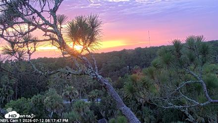 NE Florida Eagles Live Webcam - Jul 12, 2026, 8:18pm EDT