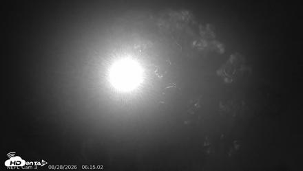 NE Florida Eagles Live Webcam - Aug 28, 2026, 6:16am EDT