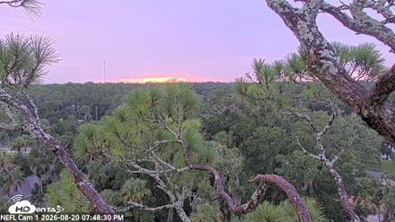 NE Florida Eagles Live Webcam - Aug 20, 2026, 7:49pm EDT