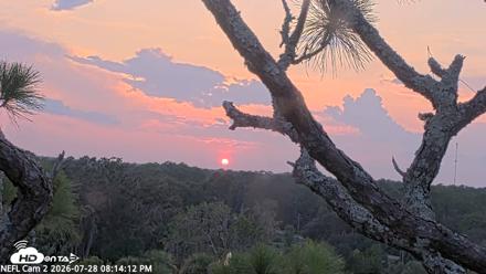 NE Florida Eagles Live Webcam - Jul 28, 2026, 8:15pm EDT