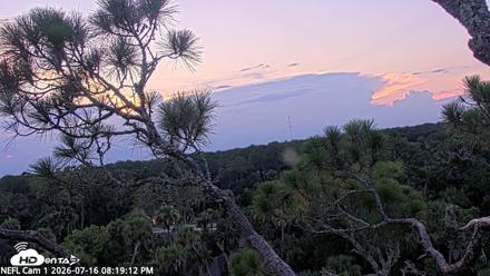 NE Florida Eagles Live Webcam - Jul 16, 2026, 8:20pm EDT