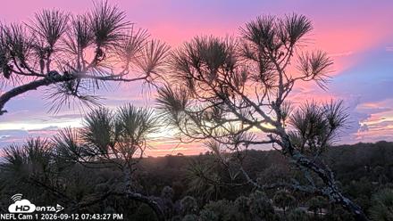 NE Florida Eagles Live Webcam - Sep 12, 2026, 7:44pm EDT
