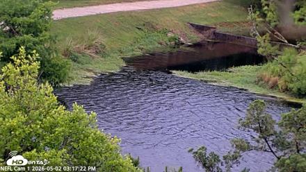 NE Florida Eagles Live Webcam - May 2, 2026, 3:18pm EDT