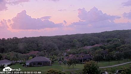 NE Florida Eagles Live Webcam - May 19, 2026, 6:38am EDT