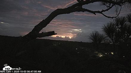 NE Florida Eagles Live Webcam - Oct 3, 2026, 6:48am EDT