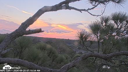 NE Florida Eagles Live Webcam - Sep 20, 2026, 7:11am EDT