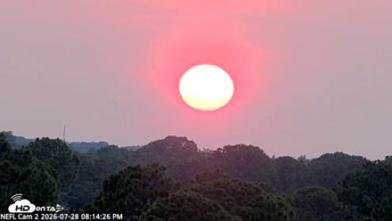 NE Florida Eagles Live Webcam - Jul 28, 2026, 8:15pm EDT