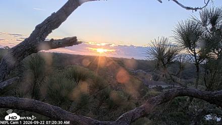 NE Florida Eagles Live Webcam - Sep 22, 2026, 7:21am EDT