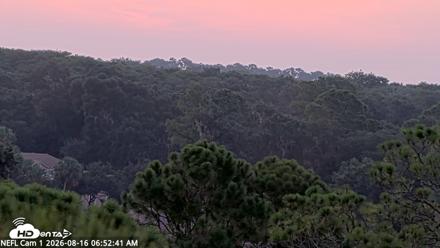 NE Florida Eagles Live Webcam - Aug 16, 2026, 6:54am EDT