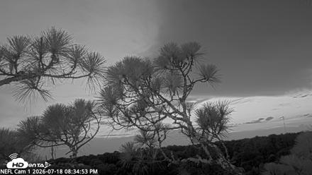 NE Florida Eagles Live Webcam - Jul 18, 2026, 8:35pm EDT