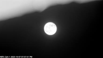 NE Florida Eagles Live Webcam - Oct 7, 2025, 7:58pm EDT