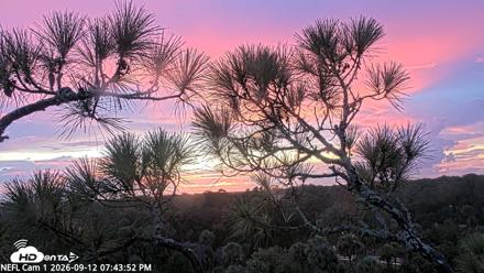 NE Florida Eagles Live Webcam - Sep 12, 2026, 7:44pm EDT