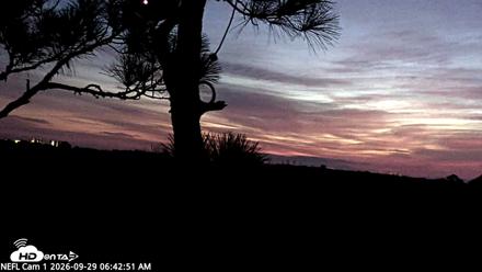 NE Florida Eagles Live Webcam - Sep 29, 2026, 6:43am EDT