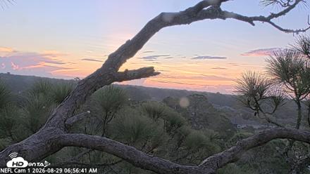 NE Florida Eagles Live Webcam - Aug 29, 2026, 6:57am EDT