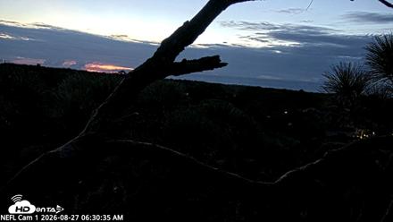 NE Florida Eagles Live Webcam - Aug 27, 2026, 6:32am EDT